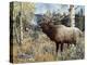 Wapiti-Jeff Tift-Premier Image Canvas