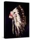 War bonnet of eagle tail feathers, each feather signifying a specific war honour-Werner Forman-Premier Image Canvas