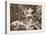 War damages-Francisco Jose de Goya y Lucientes-Premier Image Canvas
