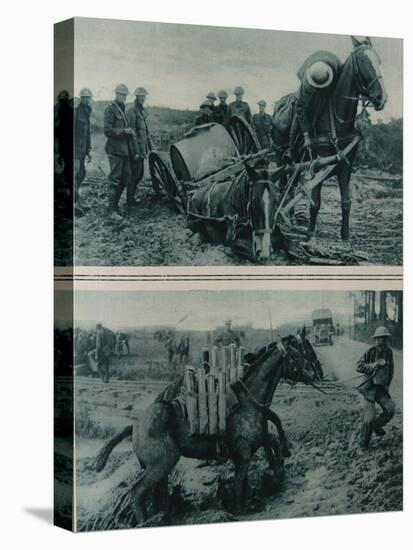 War Horses Sinking in the Mud, Northern France, August 1917-null-Premier Image Canvas