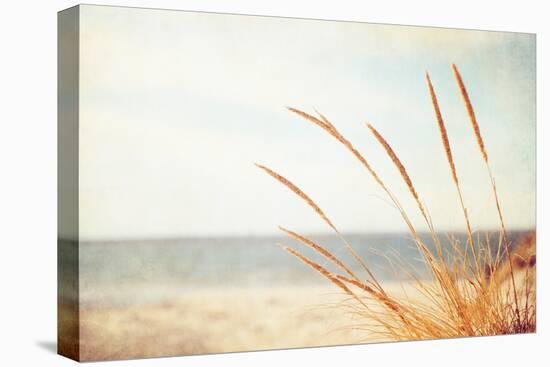 Warm Breeze-Carolyn Cochrane-Premier Image Canvas