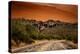 Warm Desert Sunset Scottsdale, Arizona-null-Stretched Canvas