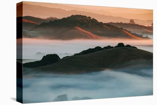 Warm Light and Cool Fog, Morning in Petaluma California-Vincent James-Premier Image Canvas