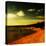 Warm Planet-Mark James Gaylard-Premier Image Canvas