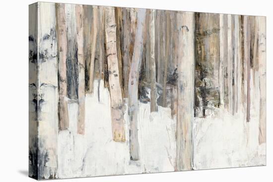 Warm Winter Light III-Julia Purinton-Stretched Canvas