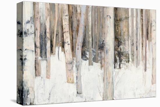 Warm Winter Light III-Julia Purinton-Stretched Canvas