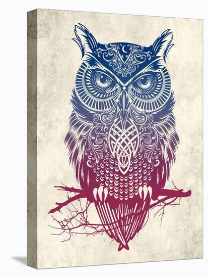 Warrior Owl-Rachel Caldwell-Stretched Canvas