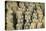Warriors, Terracotta Army, UNESCO World Heritage Site, Xian, Shaanxi, China, Asia-Janette Hill-Premier Image Canvas