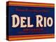 Warshaw Collection of Business Americana Food; Fruit Crate Labels, Del Rio Orchards-null-Stretched Canvas