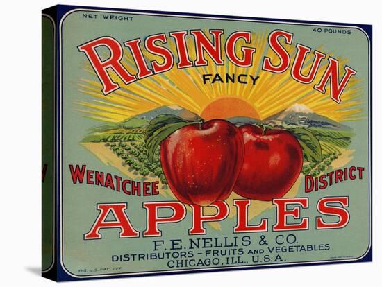 Warshaw Collection of Business Americana Food; Fruit Crate Labels, F.E. Nellis & Co.-null-Stretched Canvas