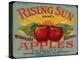 Warshaw Collection of Business Americana Food; Fruit Crate Labels, F.E. Nellis & Co.-null-Stretched Canvas