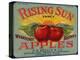 Warshaw Collection of Business Americana Food; Fruit Crate Labels, F.E. Nellis & Co.-null-Stretched Canvas