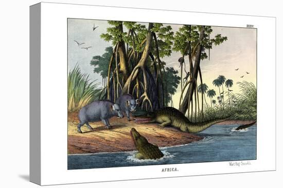 Warthog, 1860-null-Premier Image Canvas