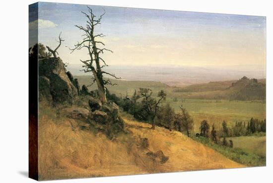 Wasatch Mountain, Nebraska-Albert Bierstadt-Stretched Canvas