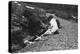 Washing Day in Madeira, Portugal, C1920S-C1930S-null-Premier Image Canvas