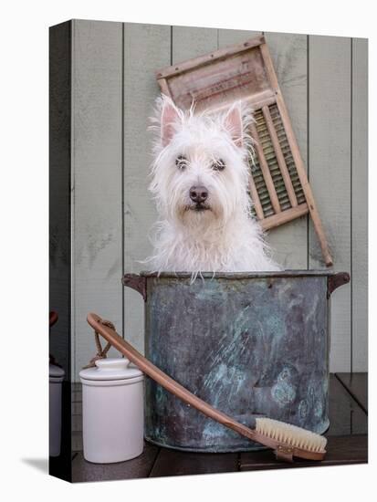 Washing the Dog-Edward M. Fielding-Premier Image Canvas