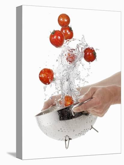 Washing Tiger Tomatoes in a Colander-Kröger & Gross-Premier Image Canvas