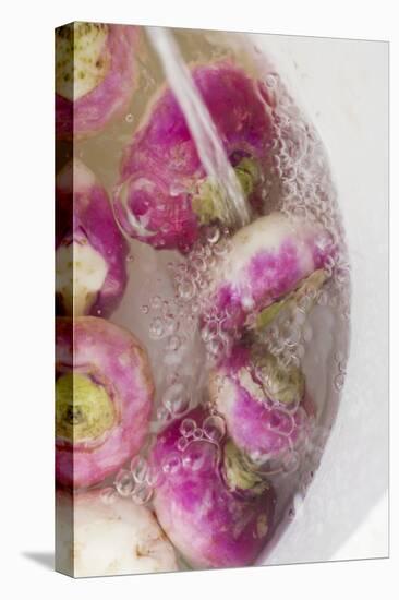 Washing Turnips-Foodcollection-Premier Image Canvas