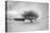 Washington, Apple Tree and Hay Bales in Winter with Storm Clouds-Terry Eggers-Premier Image Canvas