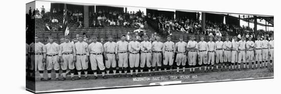 Washington Baseball Team 1913-null-Premier Image Canvas