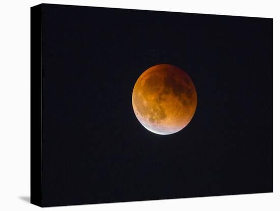 Washington, Beginning of the End of Blood Moon in Seattle as Sunlight Strikes the Moon's Lower Edge-Gary Luhm-Premier Image Canvas