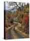 Washington, Columbia River Gorge. Road and Autumn-Colored Oaks-Steve Terrill-Premier Image Canvas