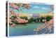 Washington DC, View of the Lincoln Memorial through Blossoming Cherry Trees-Lantern Press-Stretched Canvas
