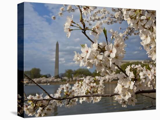 Washington, Dc-Karine Aigner-Premier Image Canvas