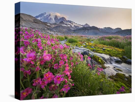 Washington, Lewis's Monkeyflower Along Panorama Trail and Paradise River, Mt. Rainier National Park-Gary Luhm-Premier Image Canvas