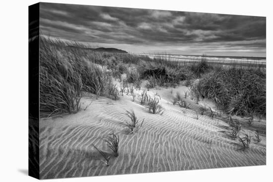 Washington, Long Beach. Dusk on the Beach Dunes-Ann Collins-Premier Image Canvas