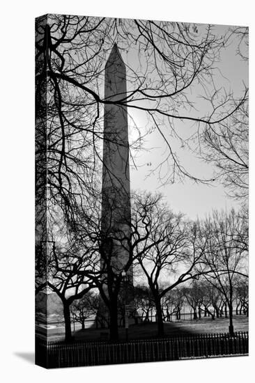 Washington Monument Black and White DC-null-Stretched Canvas