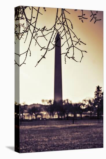 Washington Monument, Cross Processed Look in Washington, DC-null-Stretched Canvas