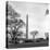 Washington Monument-Anthony Butera-Premier Image Canvas