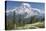 Washington, Mount Rainier National Park. Avalanche Lilies and Mount Rainier-Jaynes Gallery-Premier Image Canvas
