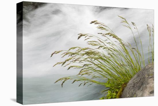 Washington, Mount Rainier National Park. Grass and Rushing Water-Jaynes Gallery-Premier Image Canvas