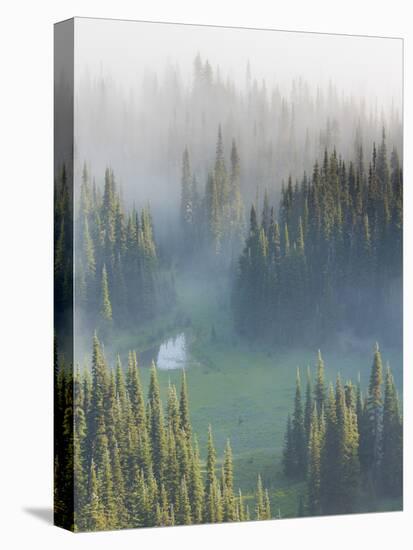 Washington, Mount Rainier National Park. Overview of Surprise Lake-Jaynes Gallery-Premier Image Canvas