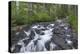 Washington, Mount Rainier National Park. Scenic of Paradise Creek-Jaynes Gallery-Premier Image Canvas