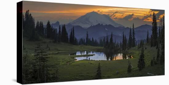 Washington, Mt. Rainer National Park-Gary Luhm-Premier Image Canvas
