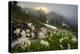 Washington, Mt. Rainier National Park-Gary Luhm-Premier Image Canvas