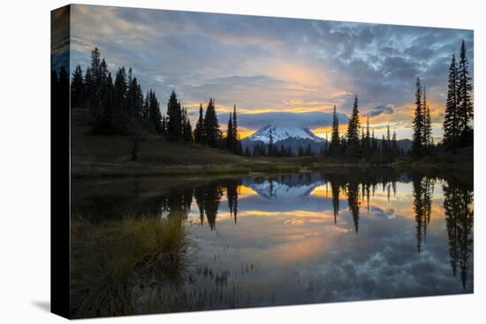 Washington, Mt. Rainier National Park-Gary Luhm-Premier Image Canvas