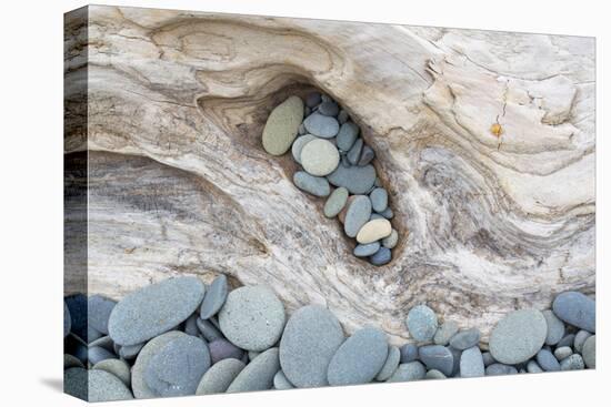 Washington, Olympic National Park. Beach Wood and Pebbles-Jaynes Gallery-Premier Image Canvas