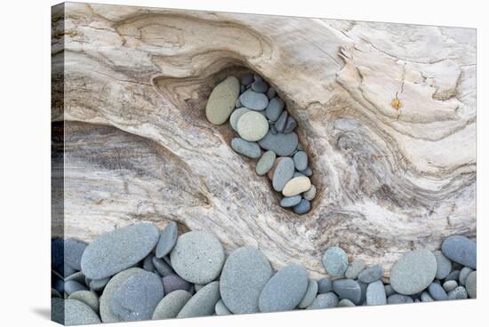 Washington, Olympic National Park. Beach Wood and Pebbles-Jaynes Gallery-Premier Image Canvas
