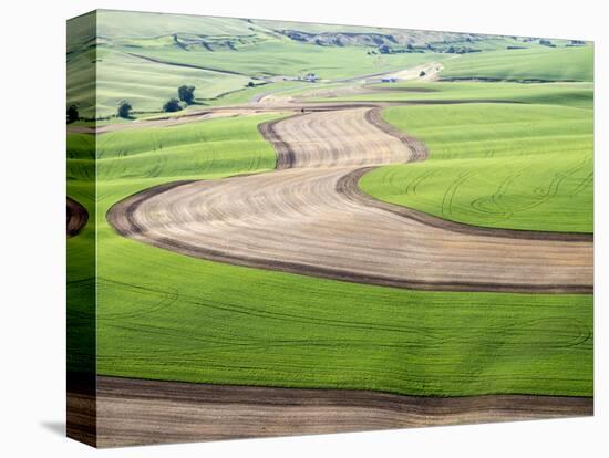 Washington, Palouse, Whitman County. Aerial of Palouse Region-Julie Eggers-Premier Image Canvas