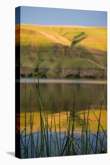 Washington, Palouse, Whitman County, Snake River Expedition-Alison Jones-Premier Image Canvas