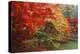 Washington Park Arboretum, Autumn Trees, Seattle, Washington, USA-Paul Souders-Premier Image Canvas