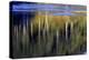 Washington_Quinault reflections-Art Wolfe-Premier Image Canvas