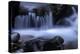 Washington_Rainier Waterfall-Art Wolfe-Premier Image Canvas