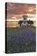 Washington, San Juan Islands. Patos Lighthouse and Camas at Sunset-Don Paulson-Premier Image Canvas