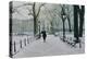 Washington Square Park in the Snow, 2014-Max Ferguson-Premier Image Canvas