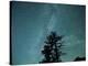 Washington State, Alpine Lakes Wilderness, Ingalls Pass, Milky Way and trees-Jamie & Judy Wild-Premier Image Canvas
